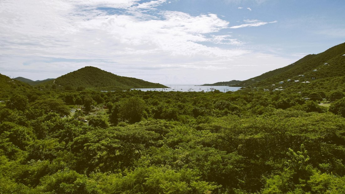 Land in Coral Bay, St. John, U.S. Virgin Islands 5 - 17868261