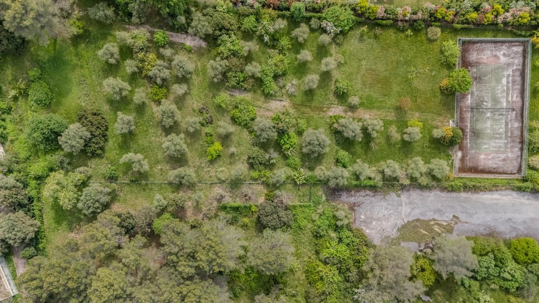 Land in Mougins, Provence-Alpes-Côte d'Azur, France 1 - 17862812