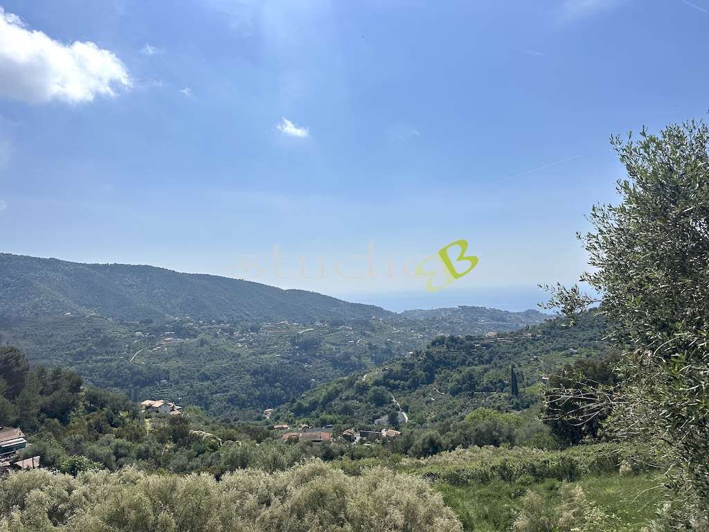 Villa in Vallebona, Liguria, Italy 1 - 17866845
