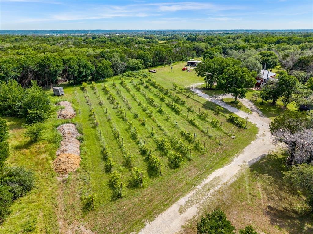 Morgan, Texas, United States 3 - 17866548