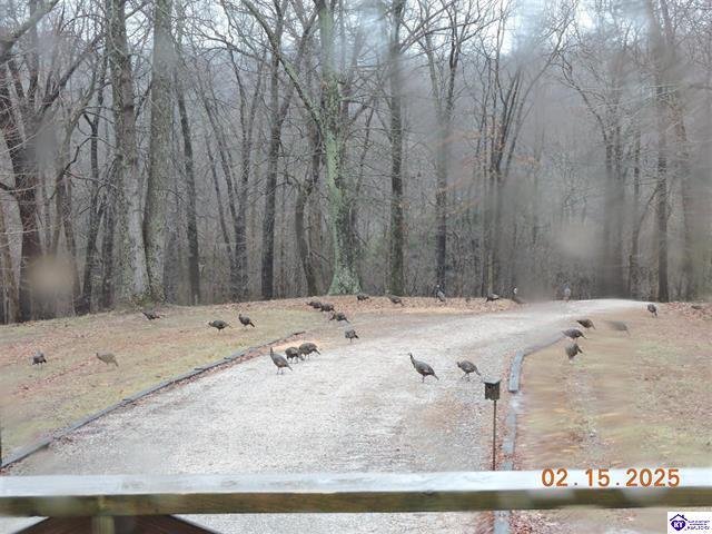 House in Cecilia, Kentucky, United States 5 - 17860617