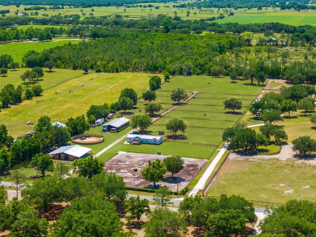 Morriston, Florida, United States 1 - 17844685