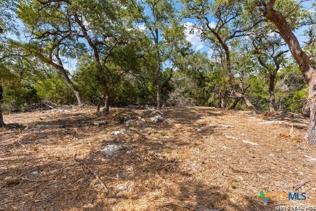 House in New Braunfels, Texas, United States 3 - 17867446