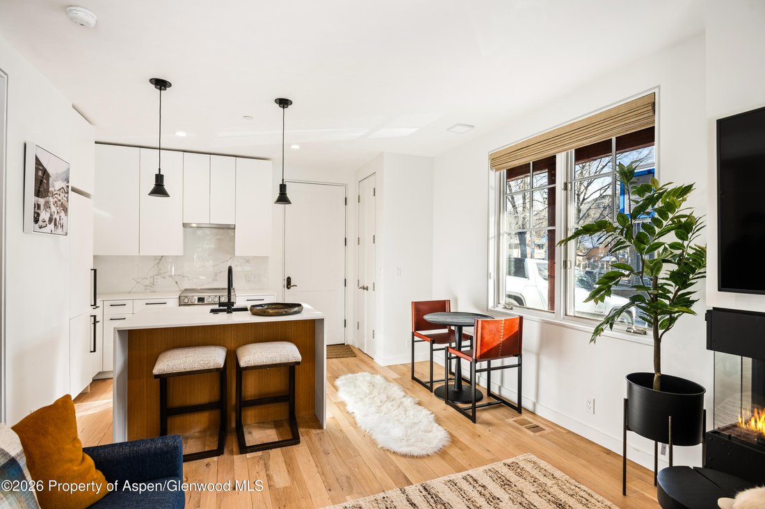 Condo in Aspen, Colorado, United States 4 - 17865086