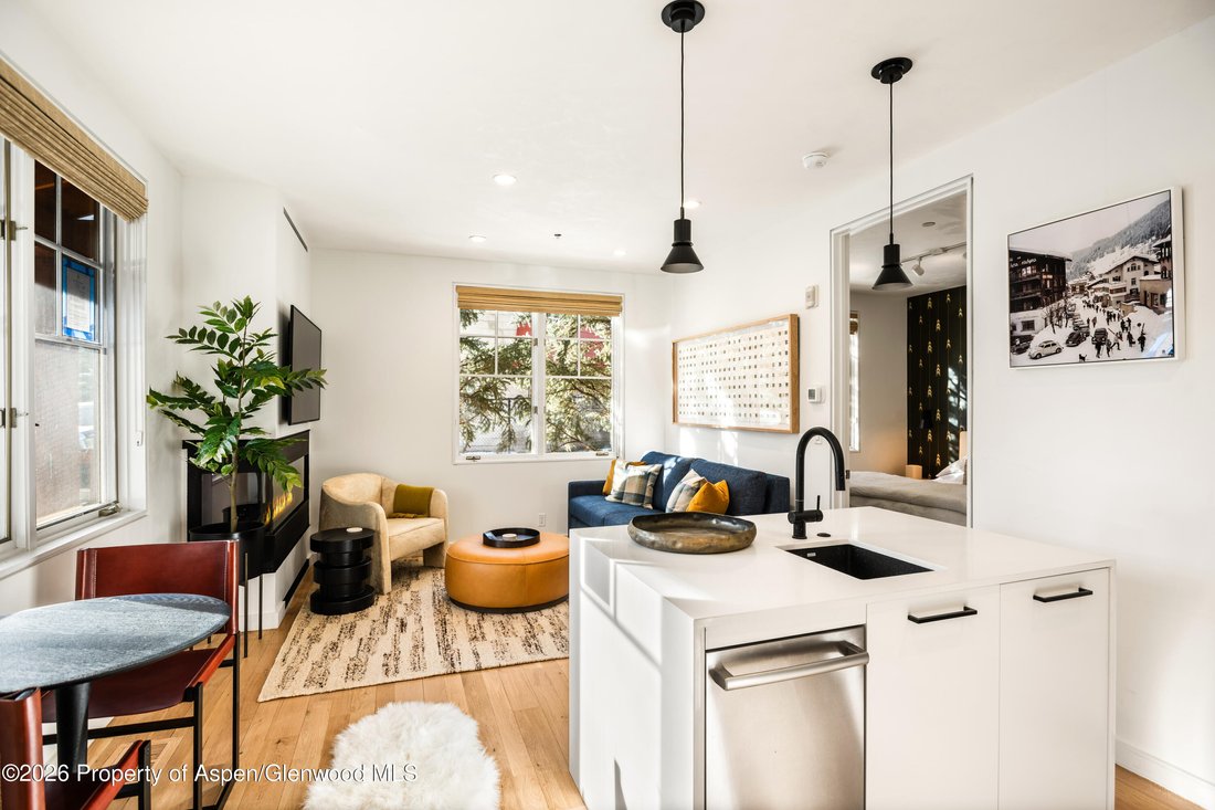 Condo in Aspen, Colorado, United States 1 - 17865086