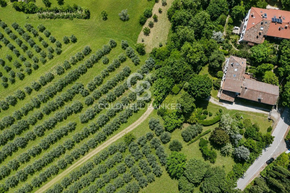 Villa in Monte - Ponte Abbadesse Zone, Cesena, Emilia-Romagna 3 - 17868166