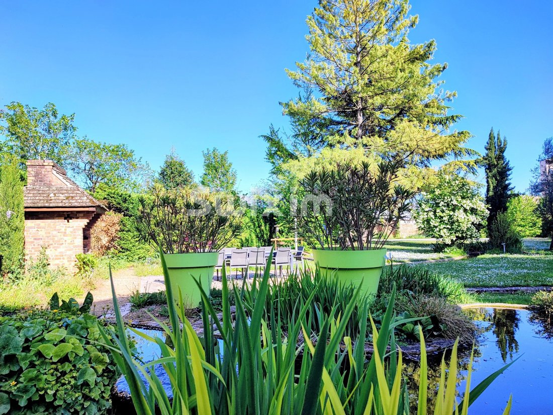 Estate in Centre Ville, Beaune, France 3 - 17862934
