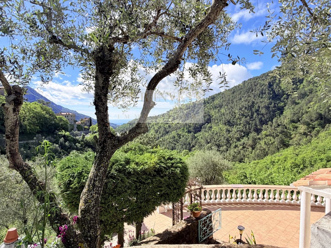House in Menton, Provence-Alpes-Côte d'Azur, France 3 - 17860760