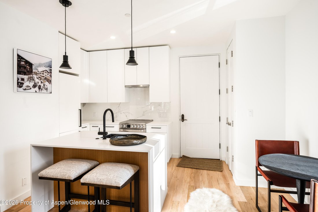 Condo in Aspen, Colorado, United States 5 - 17865086
