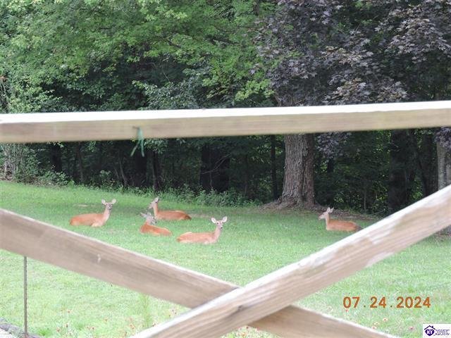 House in Cecilia, Kentucky, United States 3 - 17860617