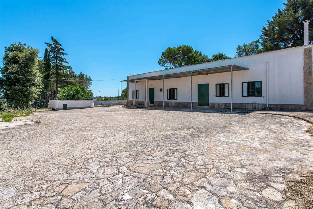 Villa in Alberobello - Chiancaro, Martina Franca, Apulia 2 - 17866065