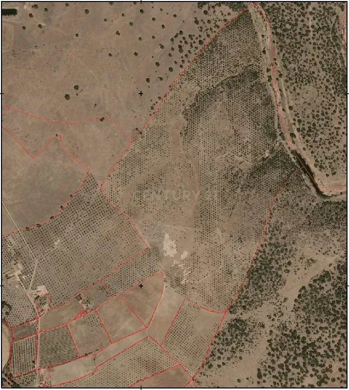 Land in Sao Saturnino, Portalegre District, Portugal 4 - 17007703