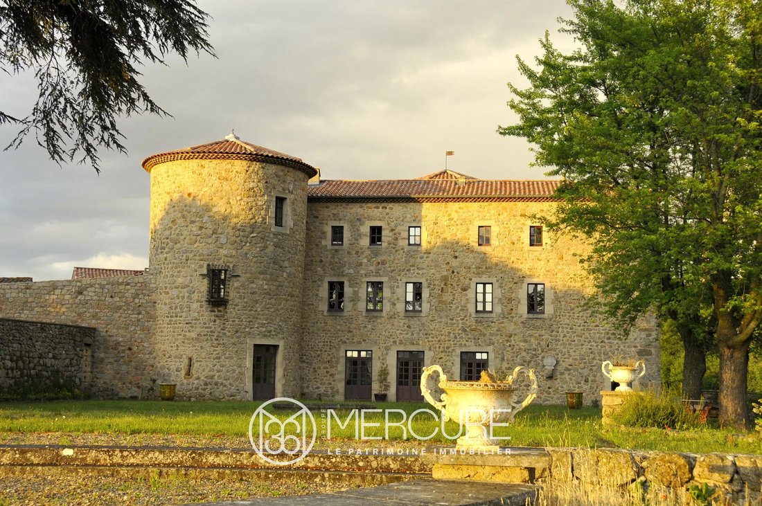 Castle in Saint-Romain-de-Lerps, Auvergne-Rhône-Alpes, France 5 - 17869756