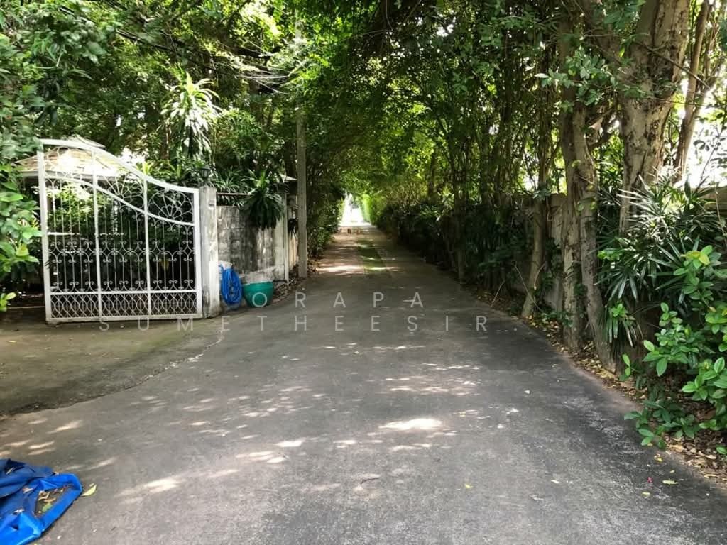 House in Bangkok, Krung Thep Maha Nakhon, Thailand 3 - 17863716