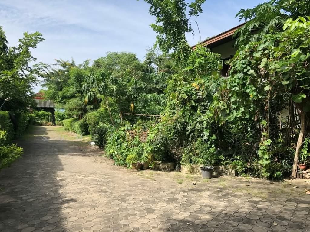 House in Bangkok, Krung Thep Maha Nakhon, Thailand 4 - 17863716