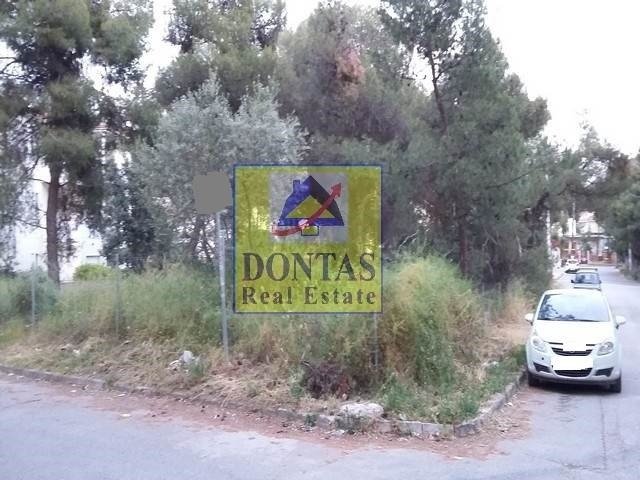 Land in Makronisos, Aegean, Greece 4 - 17861584