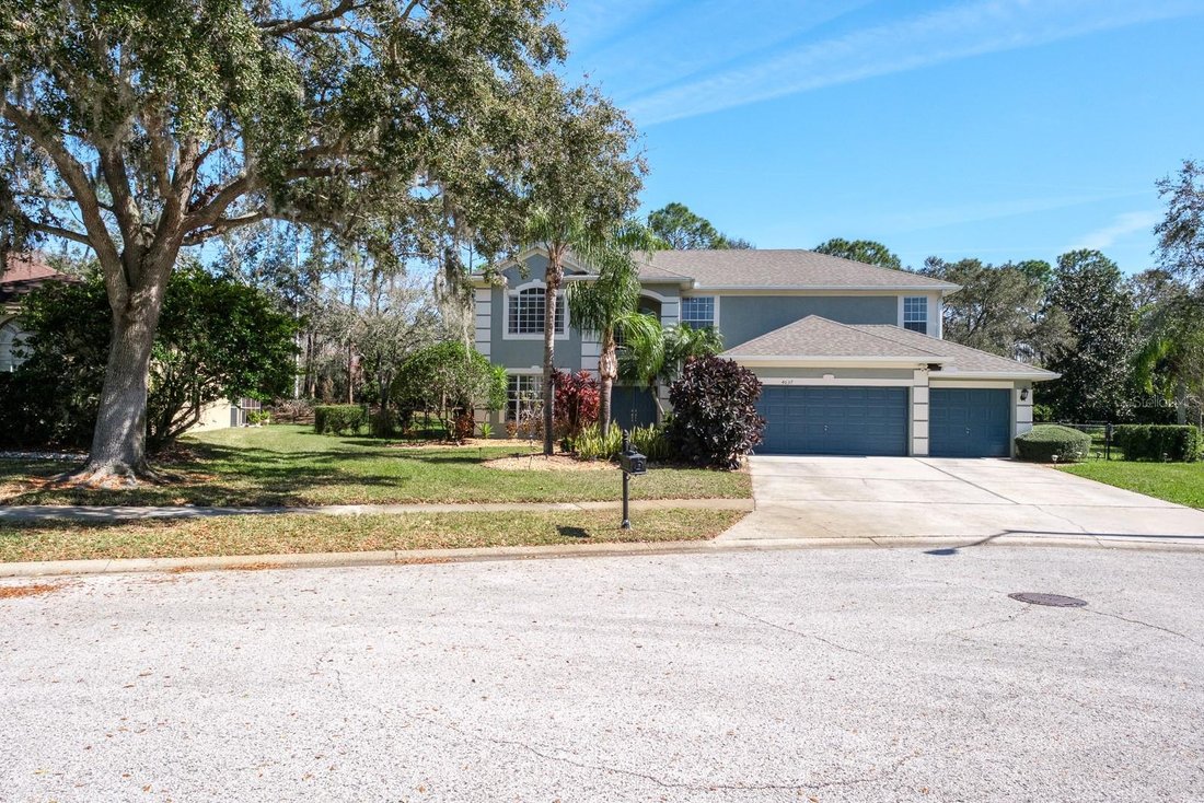 House in Palm Harbor, Florida, United States 1 - 17864990