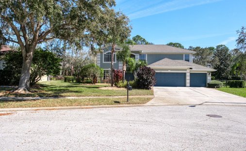 House in Palm Harbor, Florida, United States 1