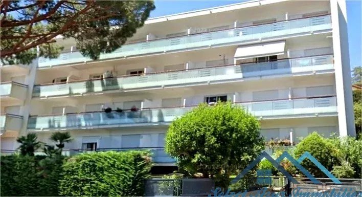 Apartment in Cannes, Provence-Alpes-Côte d'Azur, France 2 - 15579027