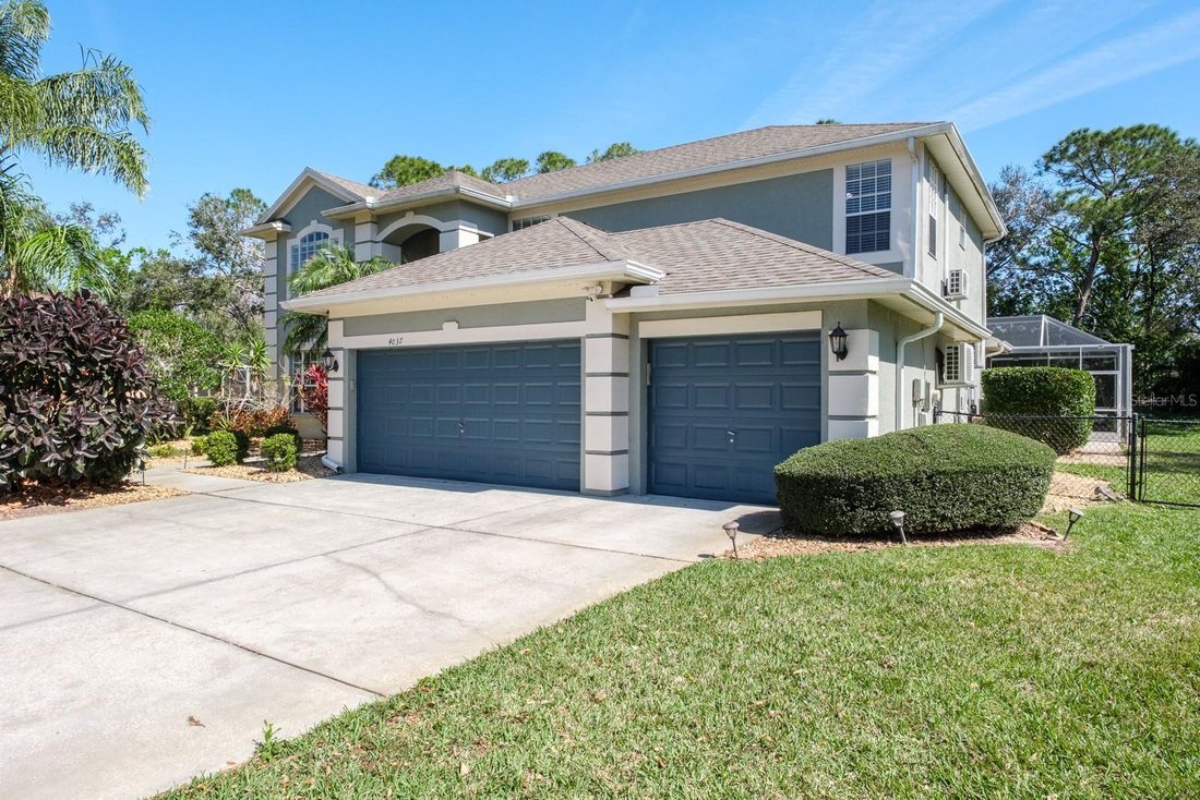 House in Palm Harbor, Florida, United States 4 - 17864990