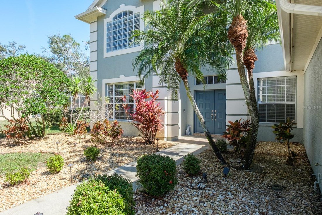 House in Palm Harbor, Florida, United States 5 - 17864990