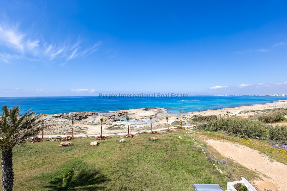 Villa in Ayia Napa, Cyprus 4 - 17862798