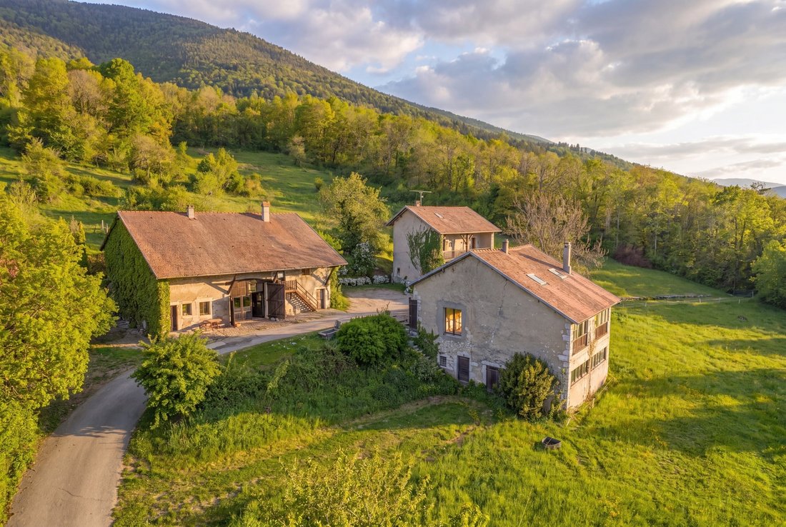 Farm Ranch in Sergy, Auvergne-Rhône-Alpes, France 1 - 17858994