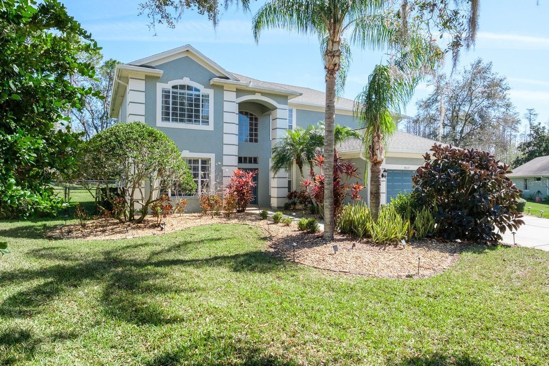 House in Palm Harbor, Florida, United States 3 - 17864990