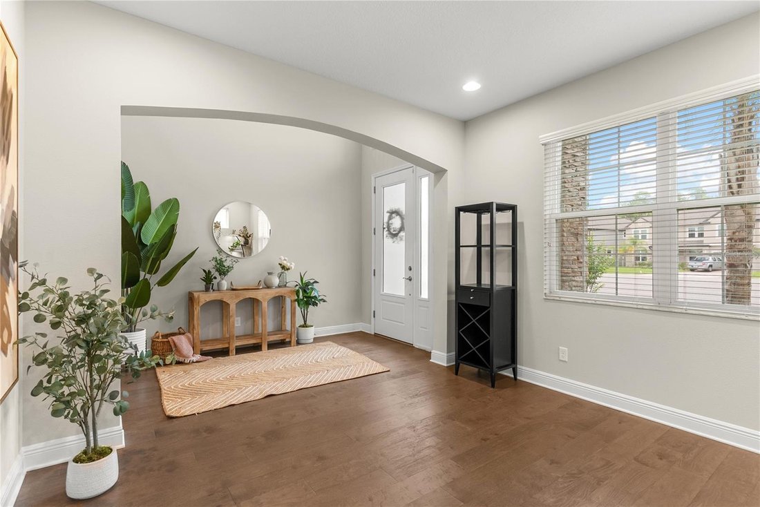 House in Tampa, Florida, United States 5 - 17861160
