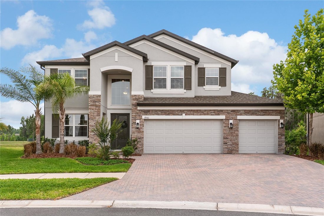 House in Tampa, Florida, United States 1 - 17861160