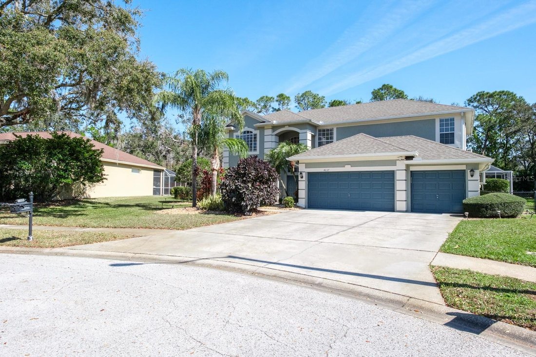 House in Palm Harbor, Florida, United States 2 - 17864990