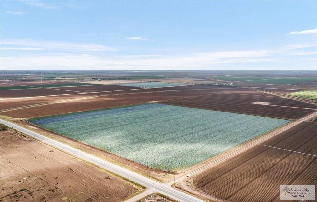 Land in Alamo, Texas, United States 4 - 17867449