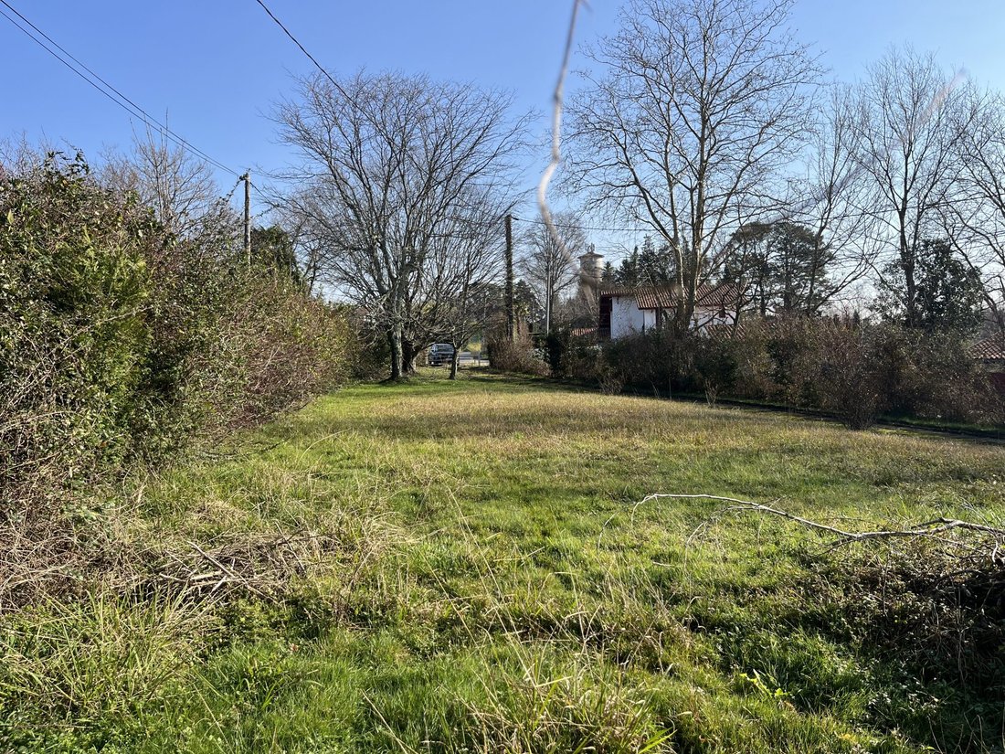 Land in Arbonne, Nouvelle-Aquitaine, France 2 - 14118521