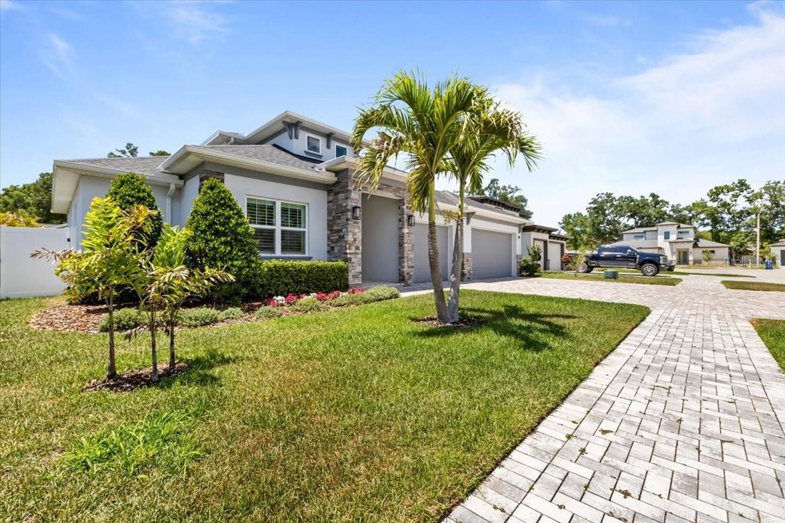 House in Palm Harbor, Florida, United States 2 - 17864978