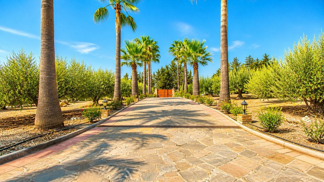 Finca in Estepona, Andalusia, Spain 5 - 17017471