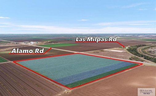Land in Alamo, Texas, United States 1