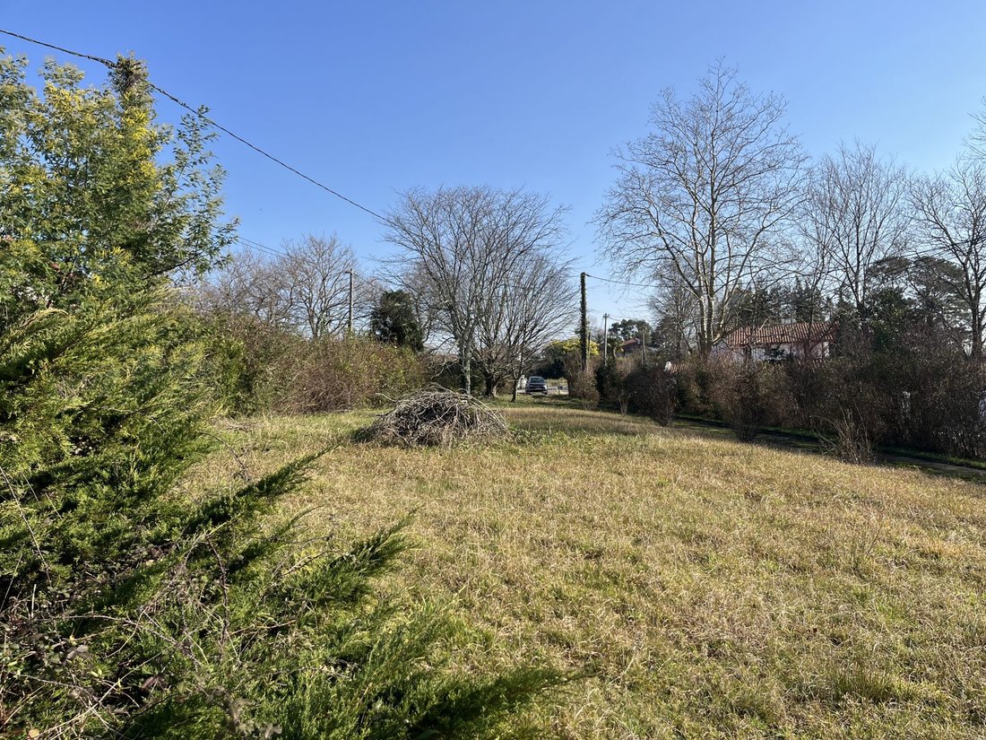 Land in Arbonne, Nouvelle-Aquitaine, France 3 - 14118521
