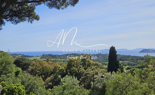 Estate in La Croix-Valmer, Provence-Alpes-Côte d'Azur, France 1