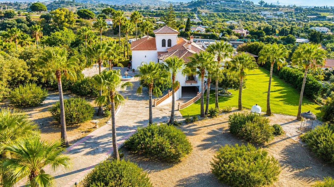Finca in Estepona, Andalusia, Spain 4 - 16608051