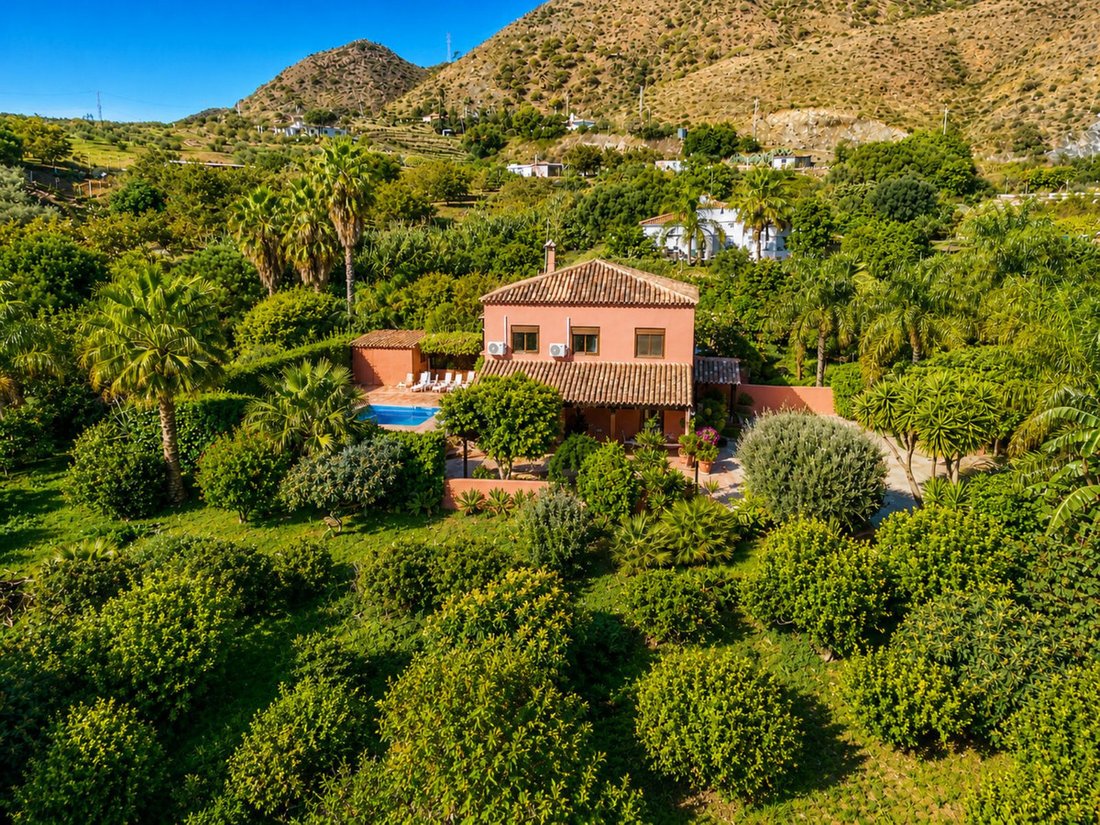 Finca in Estepona, Andalusia, Spain 1 - 16753118