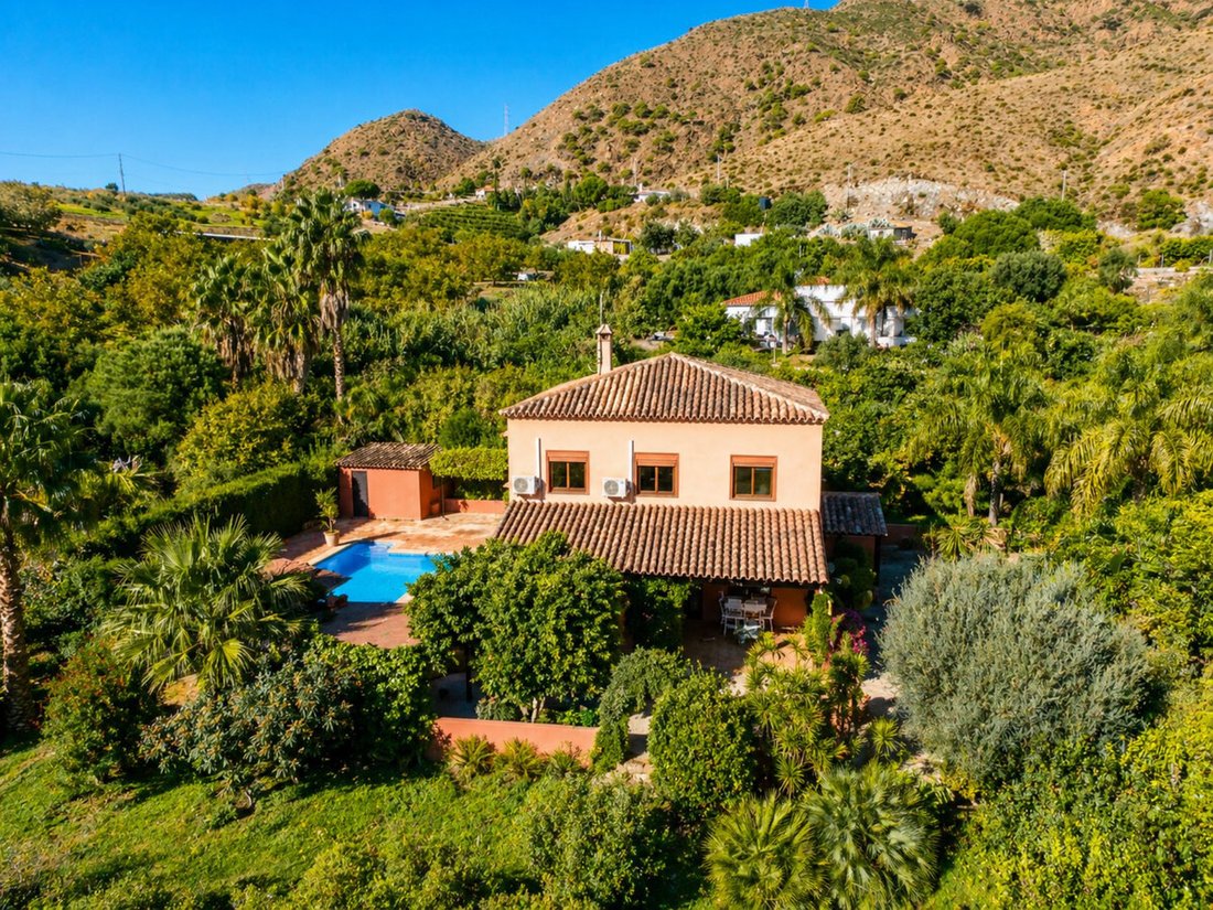 Finca in Estepona, Andalusia, Spain 4 - 16753118