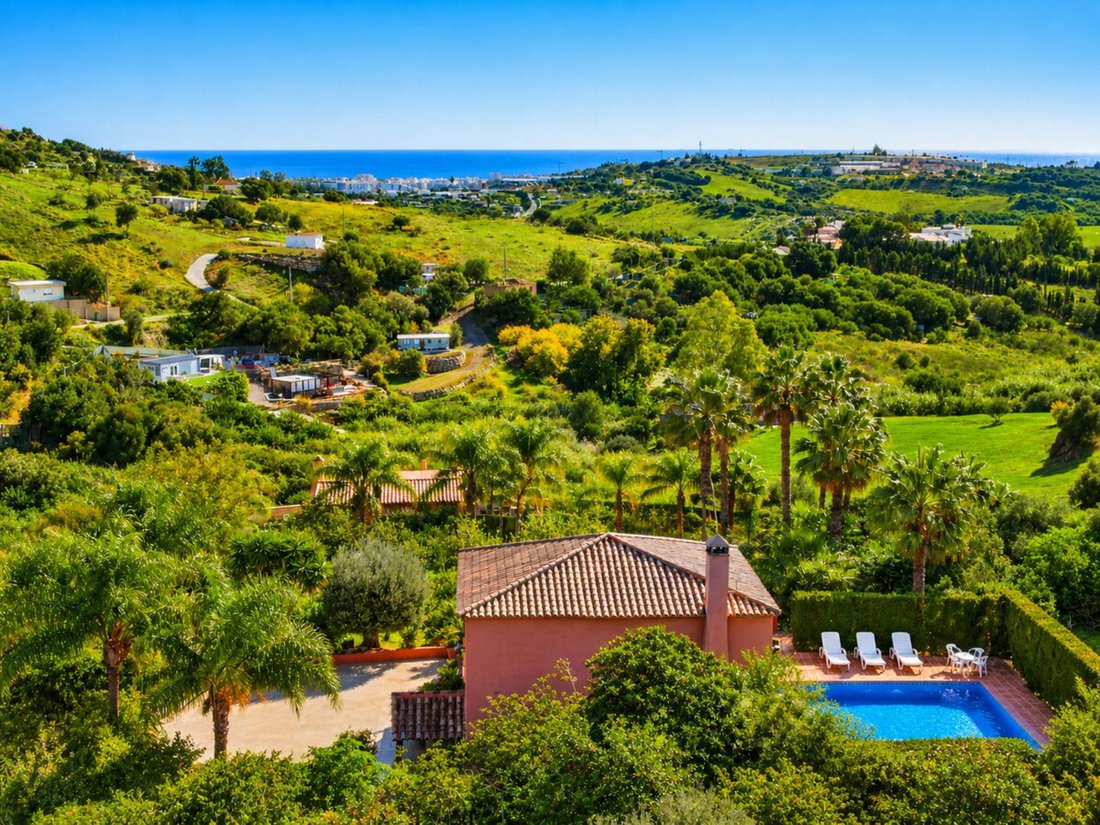 Finca in Estepona, Andalusia, Spain 3 - 16753118