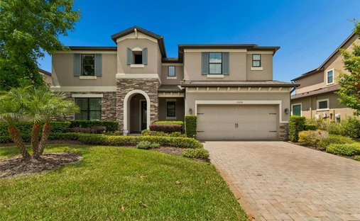 House in Odessa, Florida, United States 1