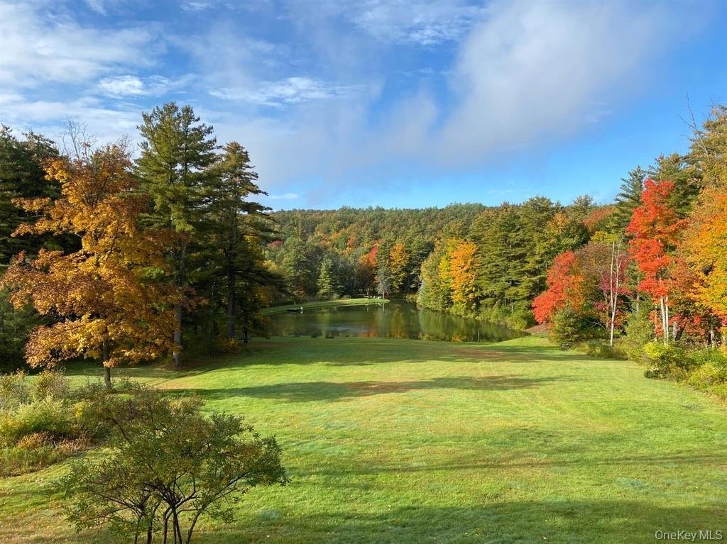 Casa a Franklin, New York, Stati Uniti 5 - 17864450