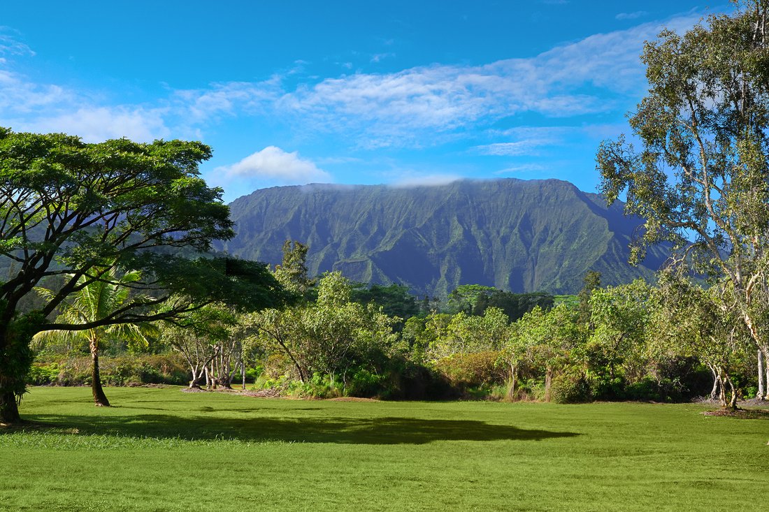 Land in Kilauea, Hawaii, United States 3 - 16675290