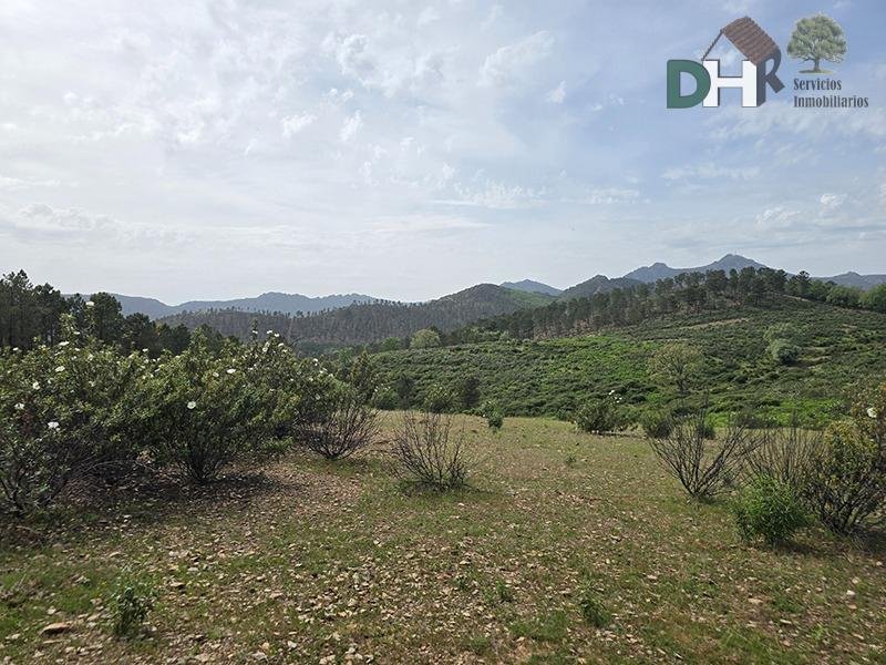 Land in Cáceres, Extremadura, Spain 4 - 17866821