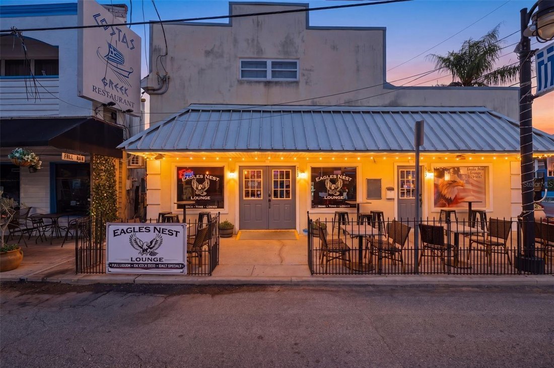 House in Tarpon Springs, Florida, United States 1 - 17865004