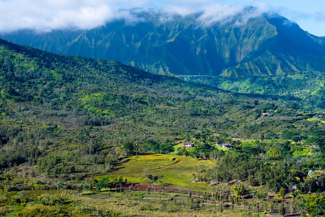 Land in Kilauea, Hawaii, United States 4 - 16675290