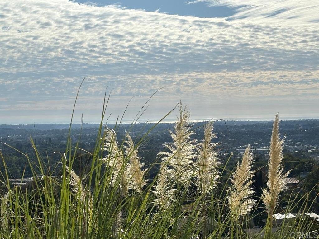 House in Vista, California, United States 4 - 17868552