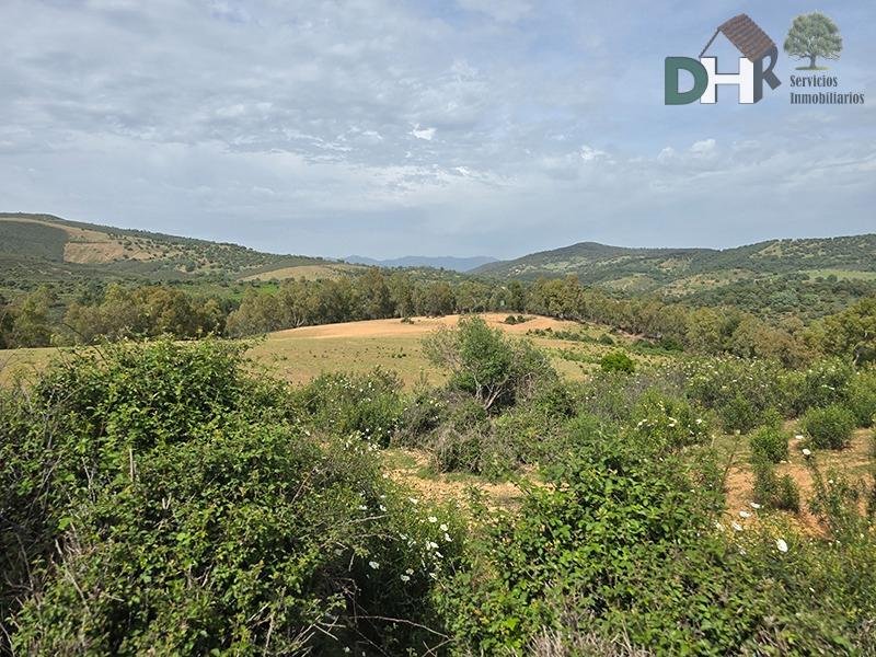 Land in Cáceres, Extremadura, Spain 5 - 17866821